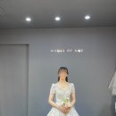 단델리온 하우스 이미지
