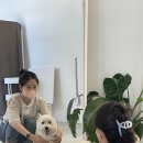 보통의오늘