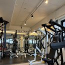 일루고짐 이미지