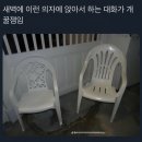 사인암르블랑펜션 | 단양 여행 후기-ㅈㄴ 필독 요망