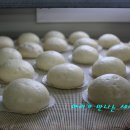 진도사랑 영농조합법인 이미지