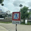 개인택시(경북15바7376) | [부산 - 나가사키] 초등학생의 금요일 부산 출발 2박 3일 이스턴 크루즈 여행 솔직 후기