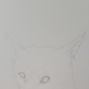 깜시