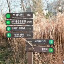 서리풀공원1-1 이미지