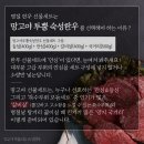 망고야 최고의 히트 상품 ‘투플러스 숙성 한우’ 언제나 품절 사태인 투플러스 불고기도 선물세트로...