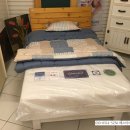 레몬트리 이미지