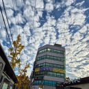 기적의힐링숲 - 전주시 완산구 잿뜸2길 8 | 전주독소배출 잘하는곳 찾으시나요? [기적의힐링숲] 독소 관리 후기