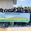완주로컬 잡센터 이미지