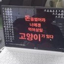 디그먼트
