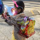 함라초등학교병설유치원 이미지