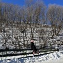 항구목장 이미지