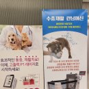 24시 딜라이트 동물의료센터 이미지