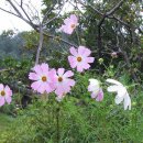 풍요로운 기다림 이미지