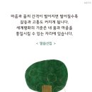 [9월 12일~말씀훈독] 이미지