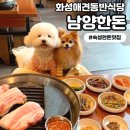 남양중앙로 L | [남양한돈] 화성애견동반식당 숙성한돈 전문점 구워주는 화성시청 남양고기집 맛집