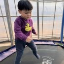 세준농장 네이버블로그