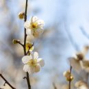 판교환경생태학습원 이미지