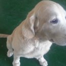 모평리마을회관 이미지