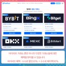 바이빙 네이버블로그