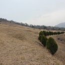 정유재란순절묘역 이미지