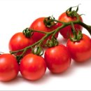 방주농장 이미지