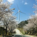 에덴오토캠핑장 이미지