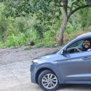 휴밸리스토리 이미지