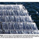 원화 태양광발전소 이미지