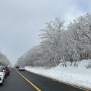제주돈상 | 제주살이 +273 | 1100고지 설경❄️