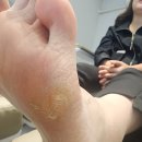 닥터페디(동래온천점) 이미지