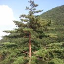 독골농장 이미지