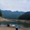 비수구미 ＞평화의 댐＞파로호 꽃섬. 이미지