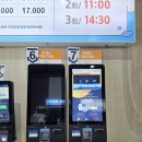 제주 스카이워터쇼 | 제주도 비올때 갈만한곳 제주 스카이워터쇼 제주올패스 후기