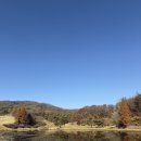 그늘집(록키)