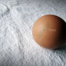 휘성농장 이미지