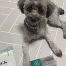 씨유덴탈 이미지