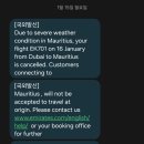 캐리어드림총판 | 모리셔스 신혼여행 :: 사이클론으로 비행기 결항ㅠㅠ :: 좌절&극복후기❤️