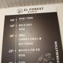 남종면 | 팔당호 통창뷰 카페, 남종면 엘포레스트 후기