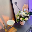 도그에이드 이미지