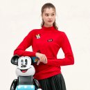 디즈니골프 이미지