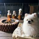 멍스빌리지풀빌라5 이미지