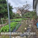 금와부동산중개사무소 이미지