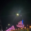가마치통닭 나주영산포점 이미지