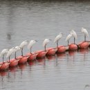 성산읍 한도교 이미지