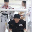 라이온 태권도장 네이버블로그
