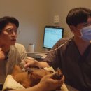 미션모텔 네이버블로그