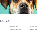 낼름 낼름 이미지