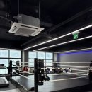 메이져 복싱 이미지