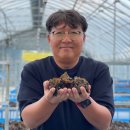 남도1농장 이미지