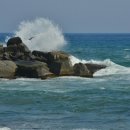 동해바다 이미지